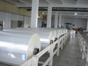 POLYPROPYLENE FILM